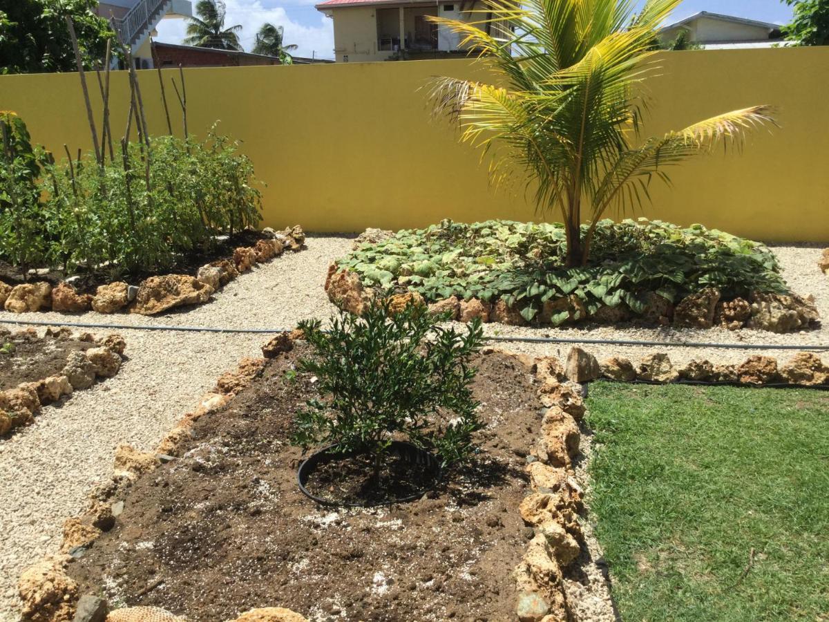Cc Best Villas Tobago Lowlands 외부 사진